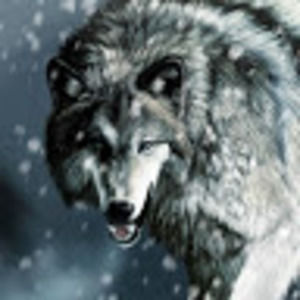 Meet your Posher, Ghaeath